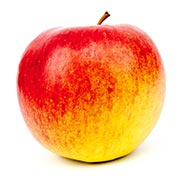 Pomme Elstar